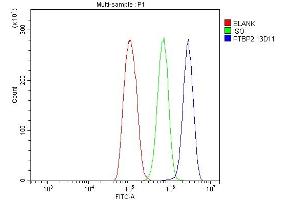 Flow Cytometry analysis of THP-1 cells using anti-PTBP2 antibody (ABIN7599453). (PTBP2 anticorps  (AA 1-504))