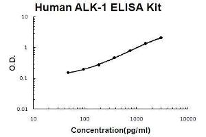 Human ALK-1/ACVRL1 PicoKine ELISA Kit standard curve
