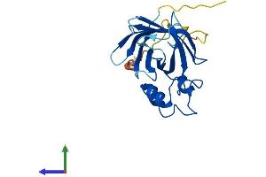 AlphaFold protein structure predicition of Mouse Recombinant Gid4 Protein, UniprotID Q9CPY6