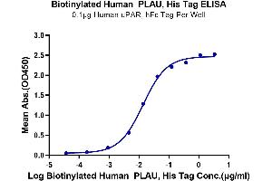 Immobilized Human uPAR, hFc Tag at 1 μg/mL (100 μL/well) on the plate.