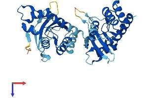 AlphaFold protein structure predicition of Human Recombinant APOBEC3F Protein, UniprotID Q8IUX4