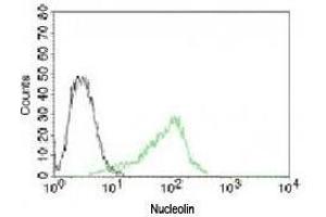 Flow cytometry testing of human 293 cells and  Alexa Fluor 488-labeled Nucleolin antibody (green). (Nucleolin anticorps)