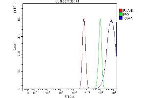 Flow Cytometry analysis of U87 cells using anti-VAPA antibody (ABIN7603249). (VAPA anticorps  (N-Term))