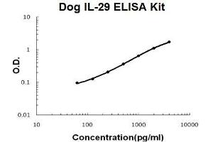 Dog IL-29 PicoKine ELISA Kit standard curve