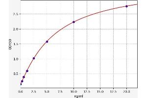 Typical standard curve (ALOX15B Kit ELISA)