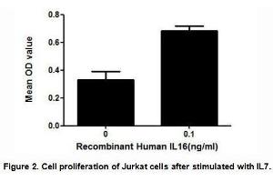 Pro-IL16 (Interleukin16) is a 631 amino acid precursor molecule, which is then cleaved into different isoforms.