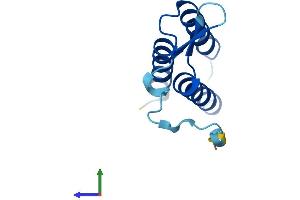 AlphaFold protein structure predicition of Human Recombinant LYRM7 Protein, UniprotID Q5U5X0