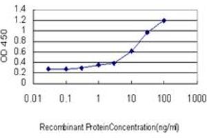 Detection limit for recombinant GST tagged ASCL1 is approximately 1ng/ml as a capture antibody. (ASCL1 anticorps  (AA 137-236))