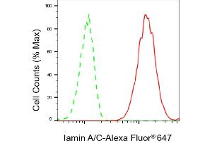 Flow cytometric analysis of Iamin A/C expression in C2C12 cells using Iamin A/C antibody (ABIN7799229), 1:2,000). (Recombinant Lamin A/C anticorps)