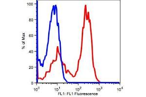 Image no. 2 for anti-CD3 (CD3) antibody (ABIN2704232)