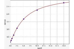 Typical standard curve