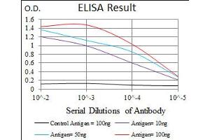 Image no. 2 for anti-Lipoprotein (Lp(a)) antibody (ABIN1491517) (Lp(a) anticorps)