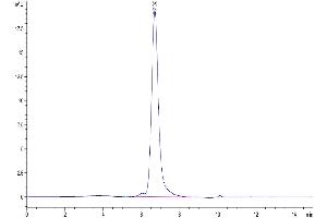 The purity of Biotinylated Human CD27 Ligand (Trimer) is greater than 95 % as determined by SEC-HPLC.
