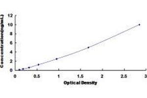 ELISA image for Chemokine (C Motif) Ligand 2 (XCL2) ELISA Kit (ABIN417799)