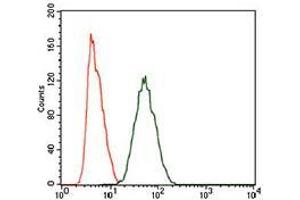 Flow cytometric analysis of HeLa cells using PIWIL4 mouse mAb (green) and negative control (purple). (PIWIL4 anticorps  (AA 304-434))