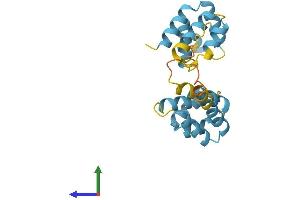 AlphaFold protein structure predicition of Mouse Recombinant Fadd Protein, UniprotID Q61160
