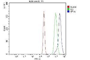 Flow Cytometry analysis of K562 cells using anti-KIF1A antibody (ABIN7599679).