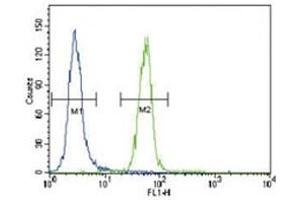 FYN antibody flow cytometric analysis of HeLa cells (right histogram) compared to a negative control (left histogram).
