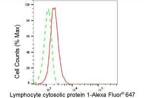Flow cytometric analysis of Lymphocyte cytosolic protein 1 expression in HT- cells using Lymphocyte cytosolic protein 1 antibody (ABIN7799292), 1:2,000). (Recombinant LCP1 anticorps)