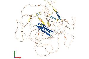 AlphaFold protein structure predicition of Mouse Recombinant Dlgap2 Protein, UniprotID Q8BJ42