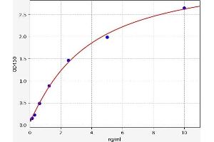 Typical standard curve (MAGEC1 Kit ELISA)