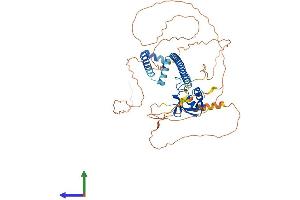AlphaFold protein structure predicition of Human Recombinant GMEB2 Protein, UniprotID Q9UKD1
