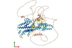 AlphaFold protein structure predicition of Human Recombinant PHTF1 Protein, UniprotID Q9UMS5