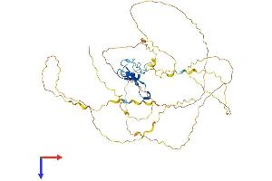 AlphaFold protein structure predicition of Mouse Recombinant Mecp2 Protein, UniprotID Q9Z2D6
