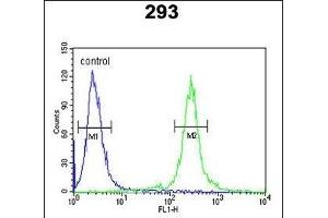 TCERG1L Antibody (Center) (ABIN652828 and ABIN2842540) flow cytometric analysis of 293 cells (right histogram) compared to a negative control cell (left histogram). (TCERG1L anticorps  (AA 392-421))