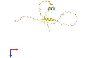 AlphaFold protein structure predicition of Mouse Recombinant Tsx Protein, UniprotID P70675