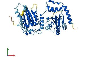 AlphaFold protein structure predicition of Human Recombinant APOBEC3G Protein, UniprotID Q9HC16