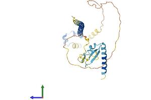 AlphaFold protein structure predicition of Human Recombinant CDCA8 Protein, UniprotID Q53HL2