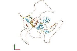 AlphaFold protein structure predicition of Mouse Recombinant Hic2 Protein, UniprotID Q9JLZ6