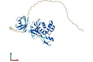 AlphaFold protein structure predicition of Human Recombinant YOD1 Protein, UniprotID Q5VVQ6