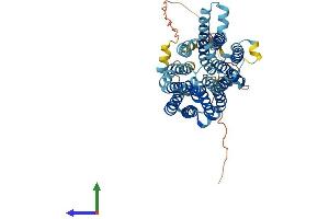 AlphaFold protein structure predicition of Mouse Recombinant Slc45a2 Protein, UniprotID P58355