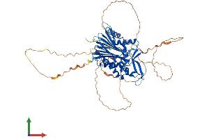 AlphaFold protein structure predicition of Mouse Recombinant Ppm1d Protein, UniprotID Q9QZ67