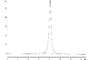 The purity of Mouse FGFR3 alpha (IIIb) is greater than 95 % as determined by SEC-HPLC.