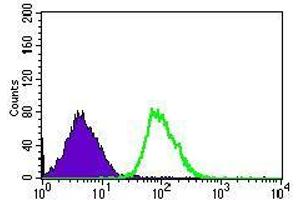 Flow cytometric analysis of HEK293 cells using CLGN mouse mAb (green) and negative control (purple).