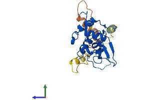 AlphaFold protein structure predicition of Mouse Recombinant Spaca3 Protein, UniprotID Q9D9X8