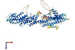 AlphaFold protein structure predicition of Human Recombinant TUBGCP4 Protein, UniprotID Q9UGJ1