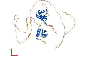 AlphaFold protein structure predicition of Mouse Recombinant Rbms1 Protein, UniprotID Q91W59