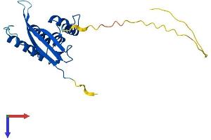 AlphaFold protein structure predicition of Mouse Recombinant Snx10 Protein, UniprotID Q9CWT3