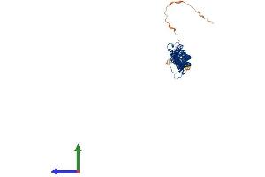 AlphaFold protein structure predicition of Human Recombinant TEKT5 Protein, UniprotID Q96M29