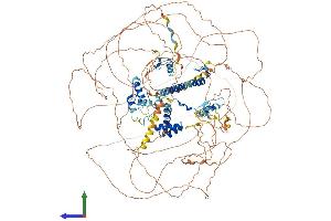 AlphaFold protein structure predicition of Human Recombinant TRERF1 Protein, UniprotID Q96PN7
