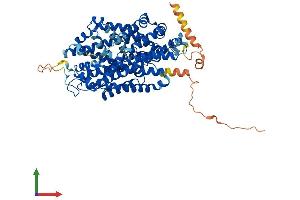 AlphaFold protein structure predicition of Human Recombinant SLC6A7 Protein, UniprotID Q99884