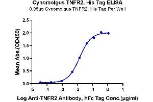 Immobilized Cynomolgus TNFR2, His Tag at 0.