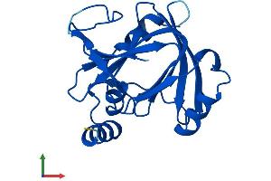 AlphaFold protein structure predicition of Human Recombinant ADI1 Protein, UniprotID Q9BV57