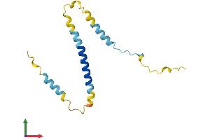 AlphaFold protein structure predicition of Mouse Recombinant Kcne1 Protein, UniprotID P23299