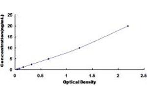 Typical standard curve (KDM4A Kit ELISA)