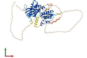 AlphaFold protein structure predicition of Mouse Recombinant Pip5k1a Protein, UniprotID P70182